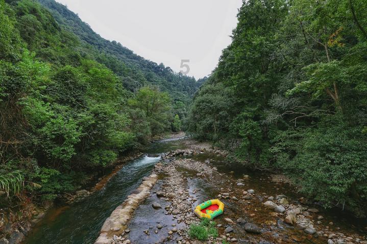 逗小猴开心系列211